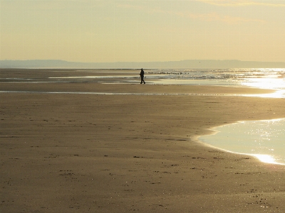 Man beach sea coast Photo