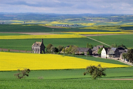 Landscape grass structure field Photo