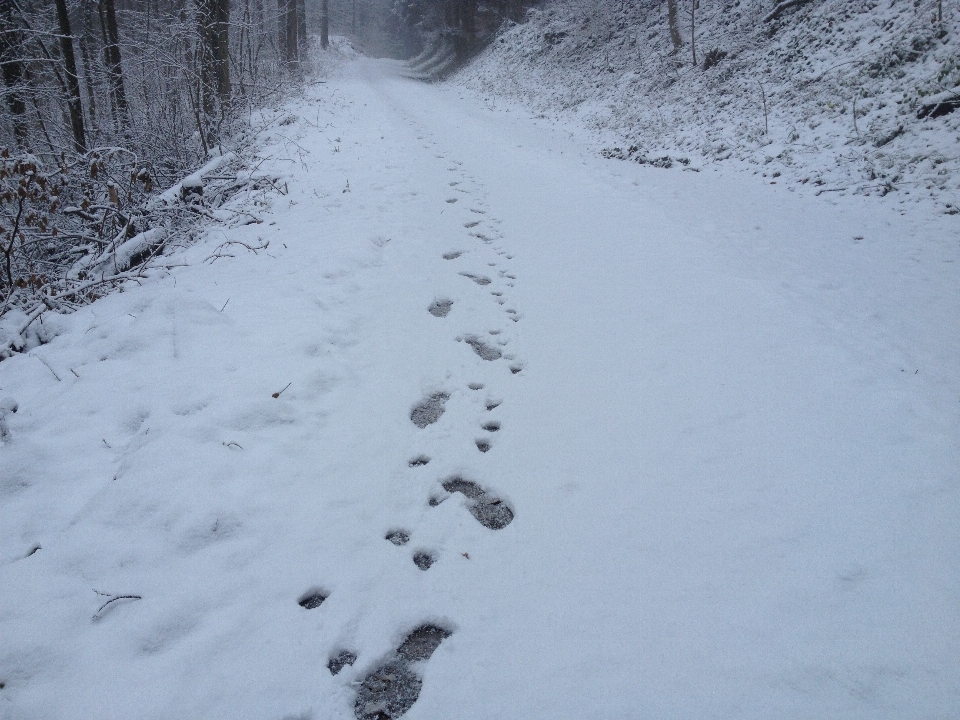 Osoba śnieg zima ślad stopy