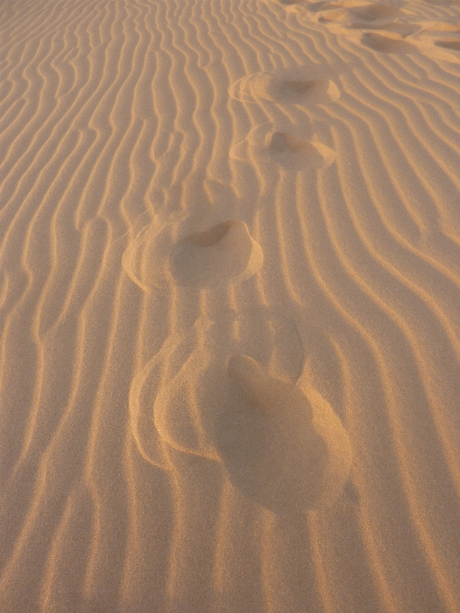 Beach landscape sand desert