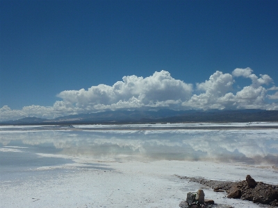 Landscape sea coast nature Photo