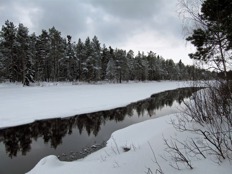 Krajobraz drzewo woda natura