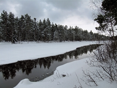 Landscape tree water nature Photo