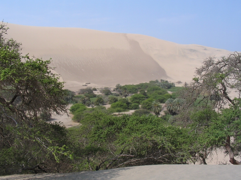 Plage paysage mer côte