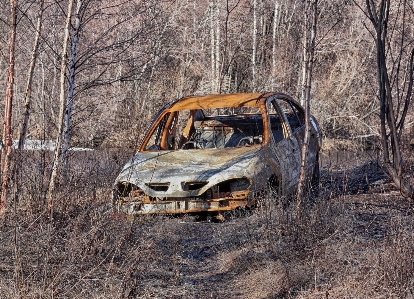 Foto Natura foresta auto automobile