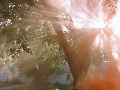 Water light glowing sunshine Photo