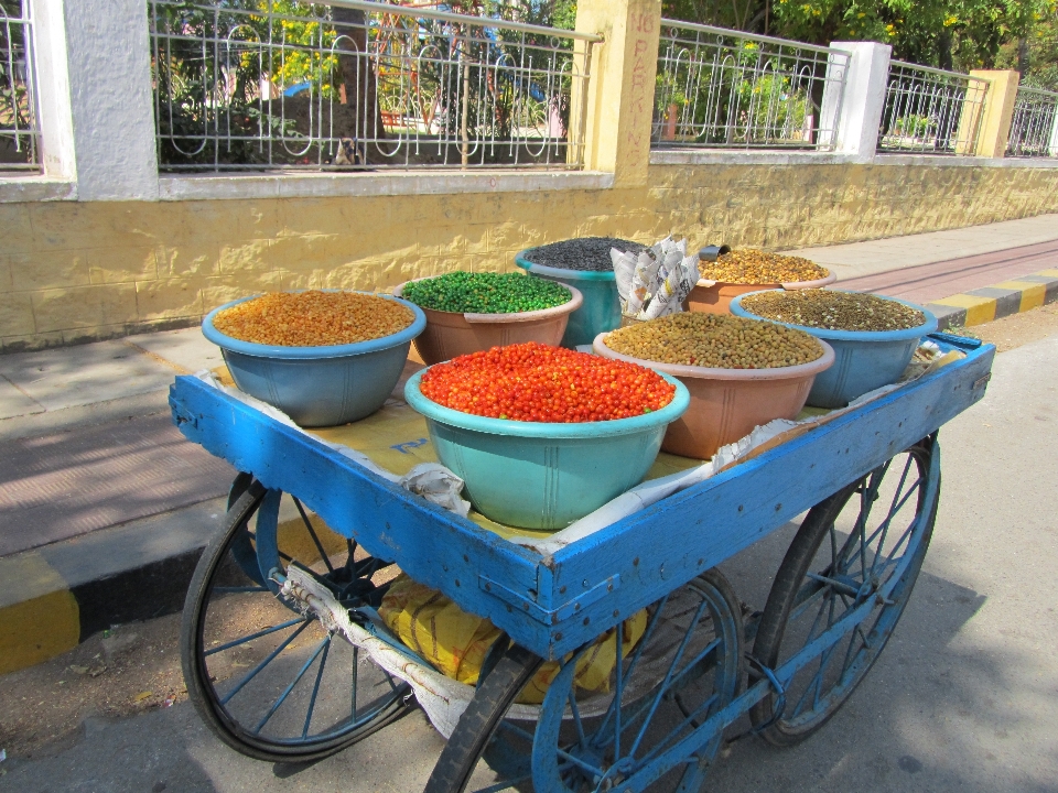 Carrello veicolo giardino dietro la casa
 colorato