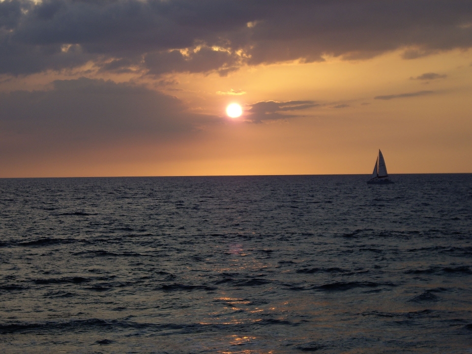 Beach sea coast nature