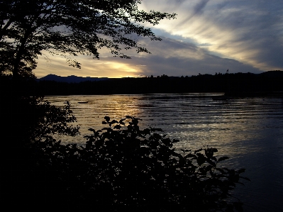 Landscape sea tree water Photo