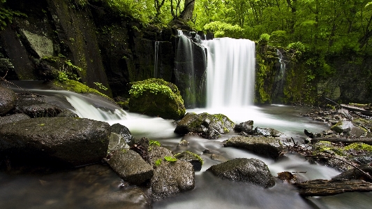 Фото пейзаж дерево вода природа