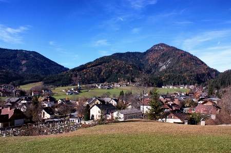 Landscape nature forest mountain Photo