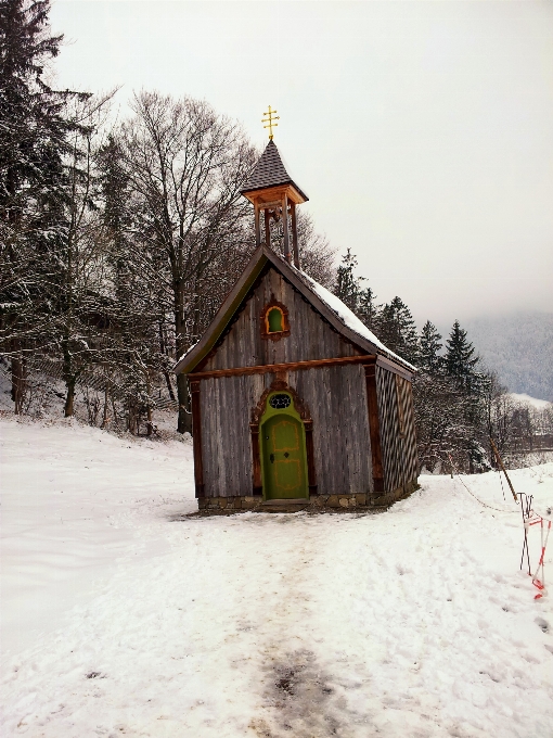 Nature forest snow winter