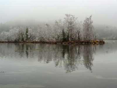 Landscape tree water nature Photo