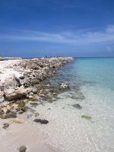 Beach sea coast water Photo