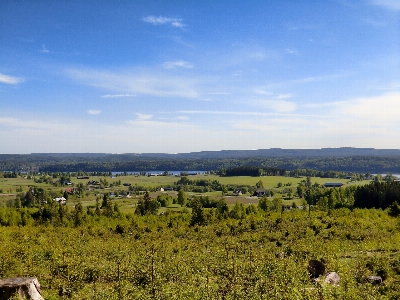 Landschaft baum natur wald Foto