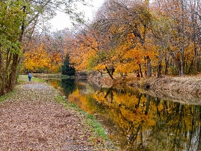 Landscape tree water nature Photo