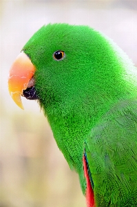 鳥 羽 野生 動物園 写真