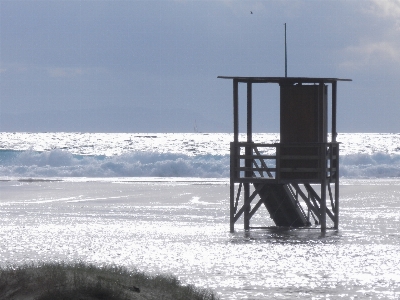 Beach sea coast ocean Photo