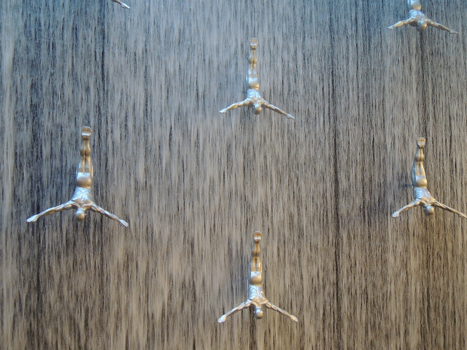 Eau cascade oiseau aile