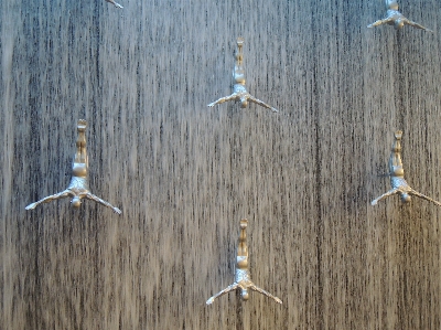 Wasser wasserfall vogel flügel Foto