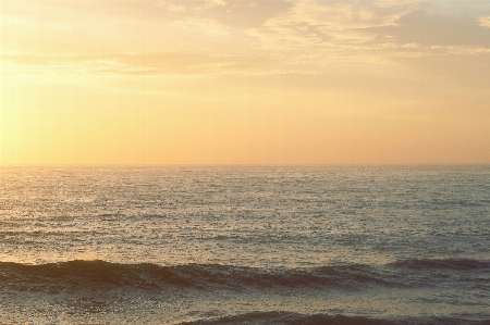 ビーチ 海 海岸 水 写真