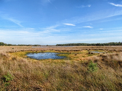 Landscape coast water nature Photo