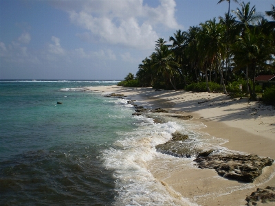 Foto Pantai laut pesisir pasir