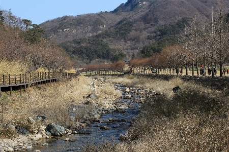 景观 自然 户外的 荒野 照片