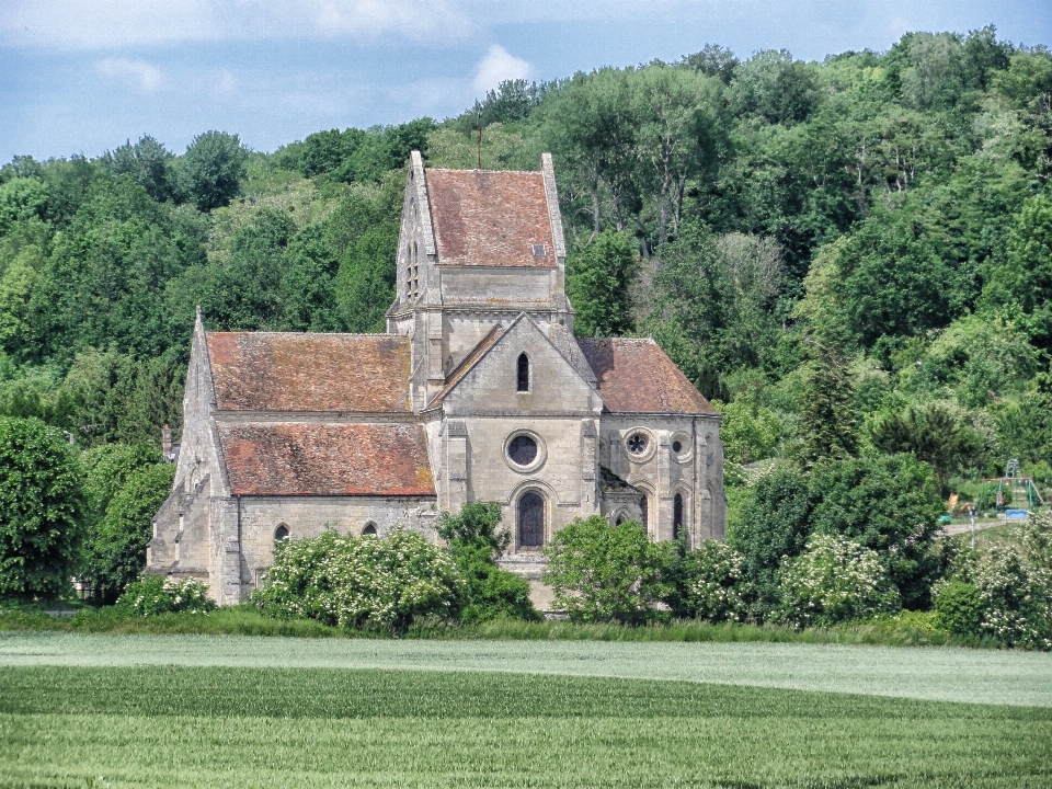 Paesaggio natura foresta architettura