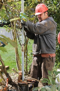 Working tree jungle equipment Photo