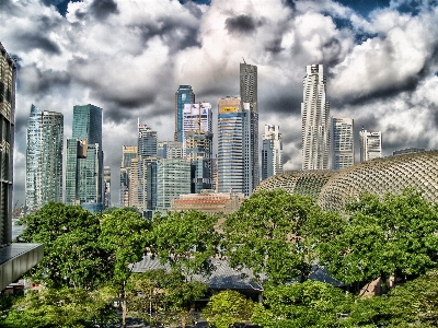 Tree architecture sky skyline Photo