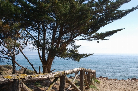 Beach landscape sea coast Photo