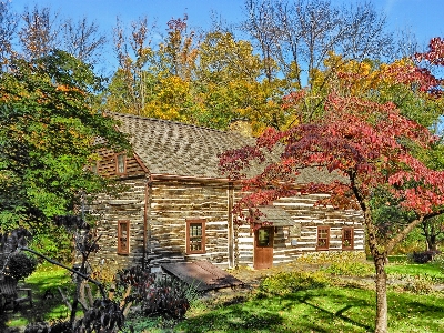 Tree nature architecture farm Photo