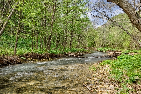 Landscape tree water nature Photo