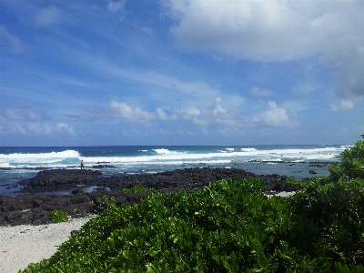 Beach sea coast sand Photo