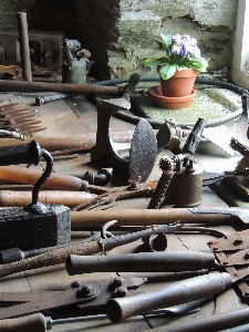 Foto Madeira flor cabana militares