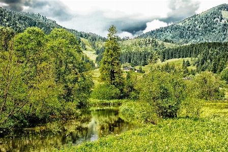 Landscape tree water nature Photo