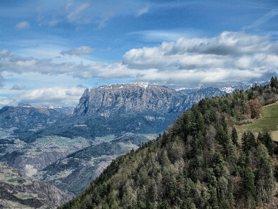 Landschaft natur wald wildnis
 Foto