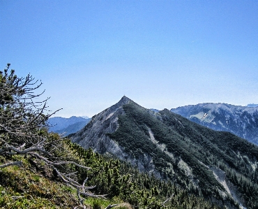 Landscape nature forest wilderness Photo