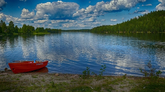 Water nature forest wilderness Photo