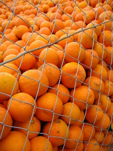 Sweet leaf orange pattern Photo