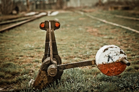 Grass wood rail train station Photo