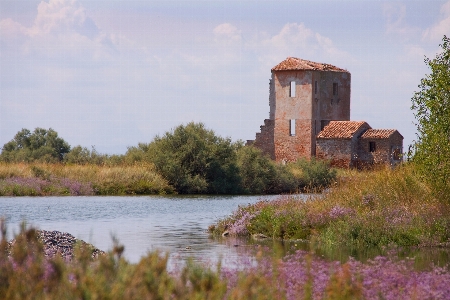 Landscape nature farm lake Photo