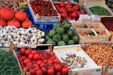 Foto Tanaman buah daun kota