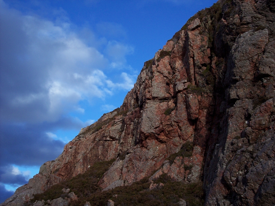 Paisaje árbol naturaleza rock