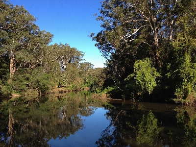 Landscape tree water nature Photo