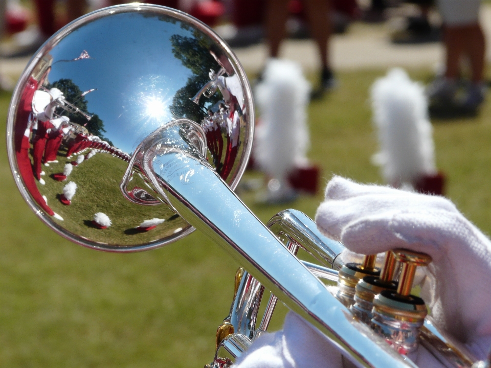 Música banda vehículo orquesta