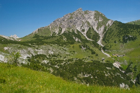 Landscape nature forest wilderness Photo