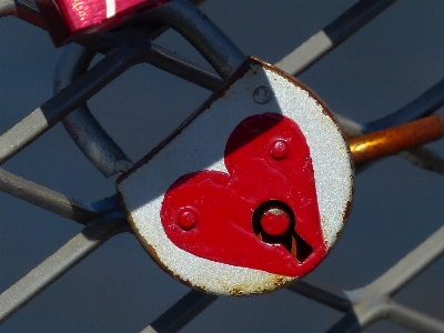 Fence wheel flower love Photo