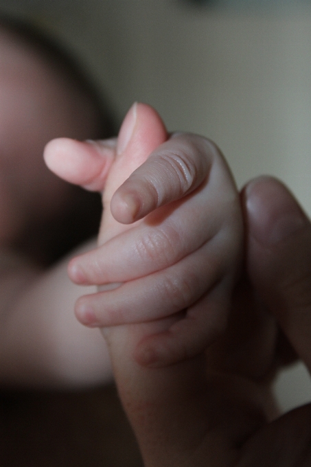 Mano chica fotografía niño